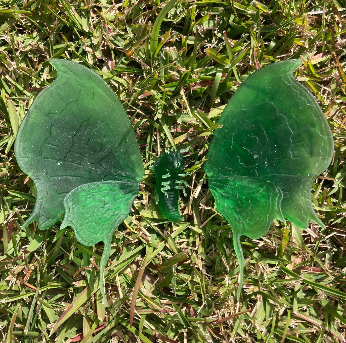 Giant Moth (4 Variants) - Epic Miniatures