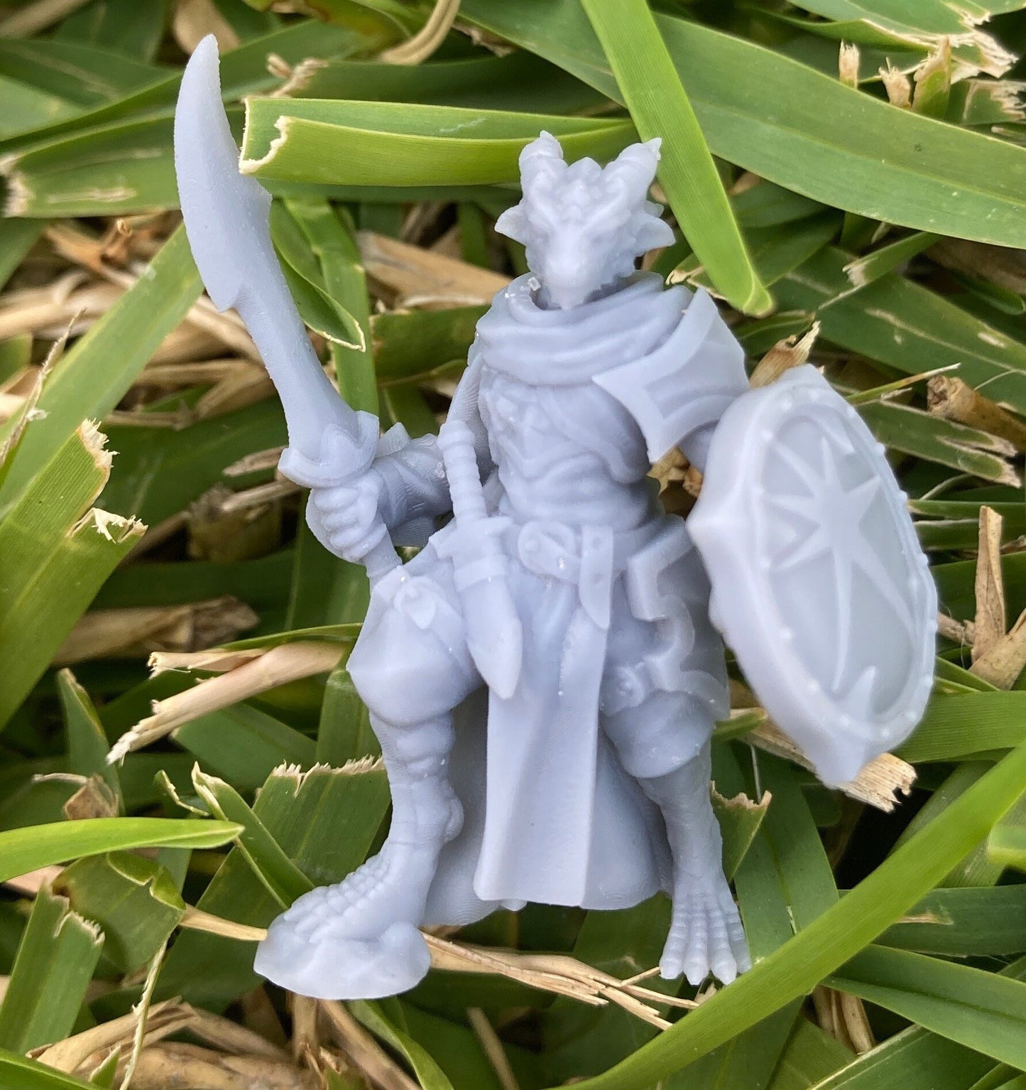 Male Dragonborn Tamara Cleric (2 Variants Available) - Velrock