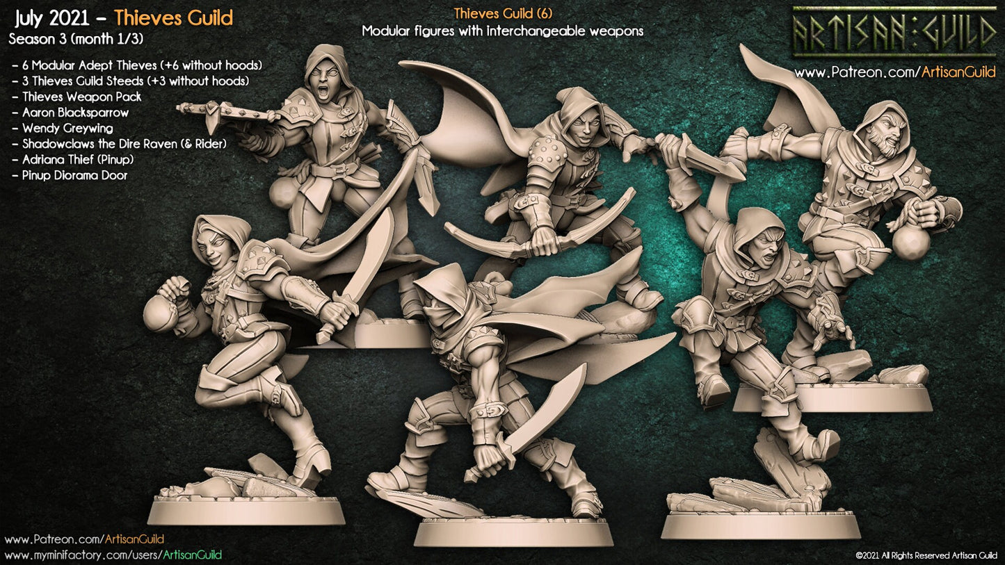 Thieves Guild - Cowled (6 Variants Available) - Artisan Guild