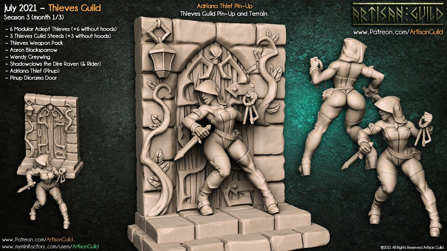 Adrianna, Thief Pinup - Artisan Guild