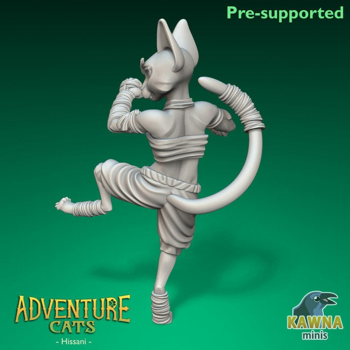 Hissani Monk (2 Variants Available) - Kawna Minis