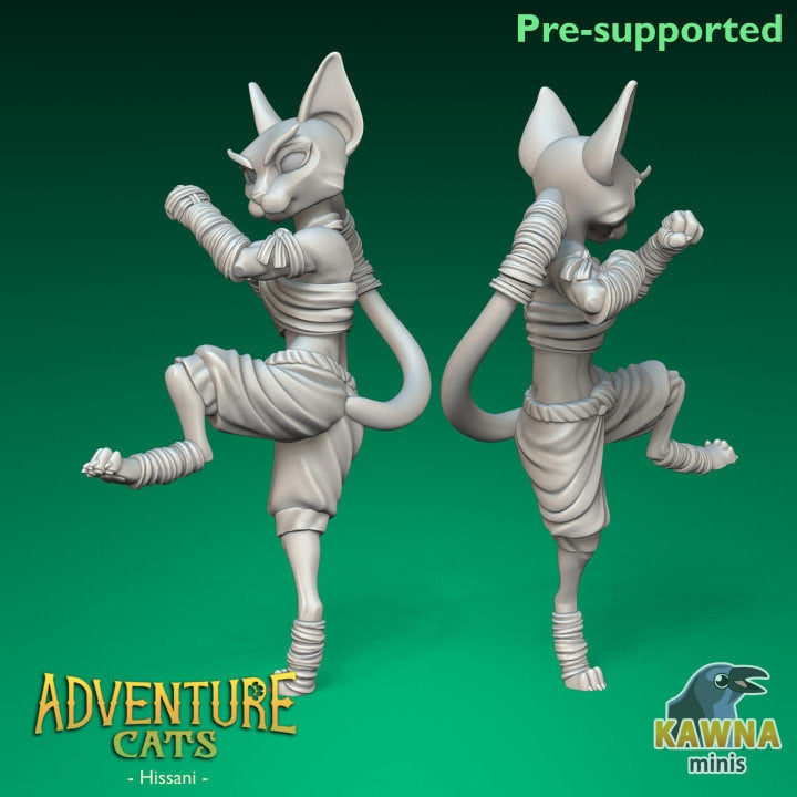 Hissani Monk (2 Variants Available) - Kawna Minis