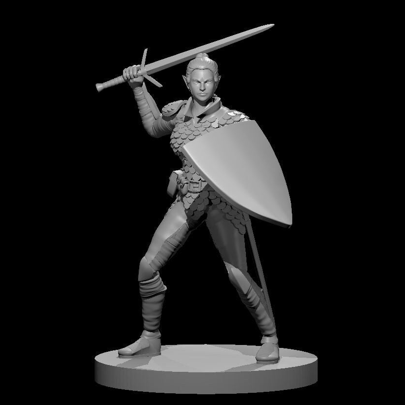 Elf Paladin (9 Variants Available) - MZ4250