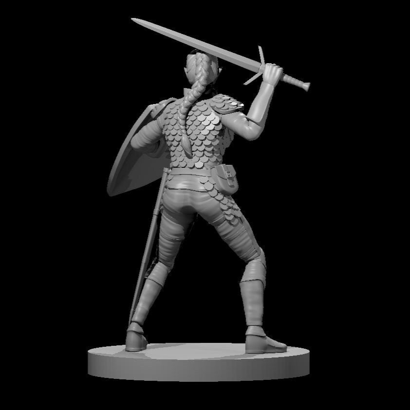 Elf Paladin (9 Variants Available) - MZ4250