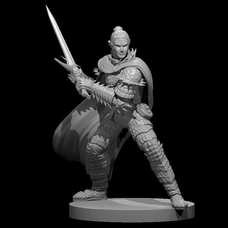 Elf Paladin (9 Variants Available) - MZ4250