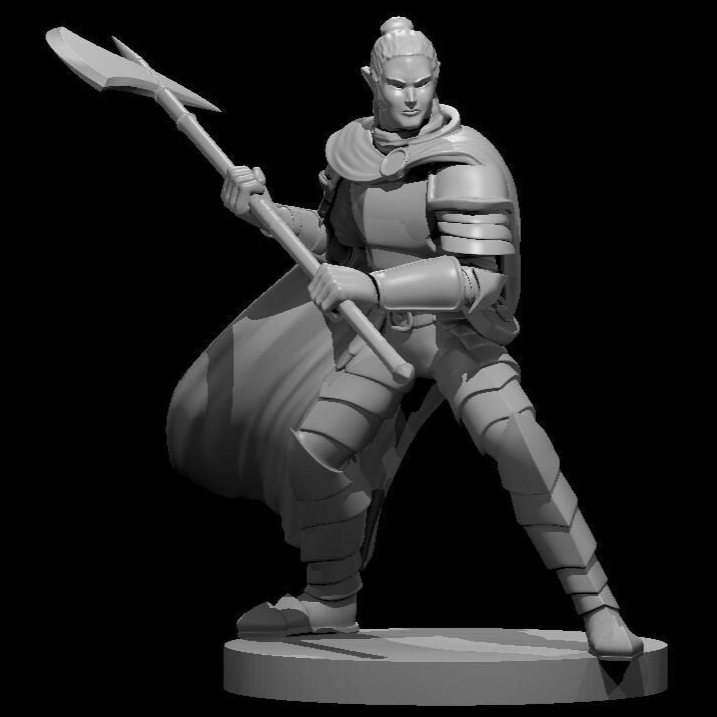 Elf Paladin (9 Variants Available) - MZ4250