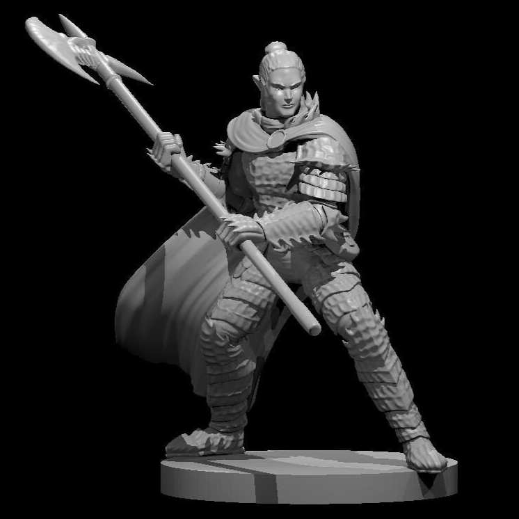 Elf Paladin (9 Variants Available) - MZ4250