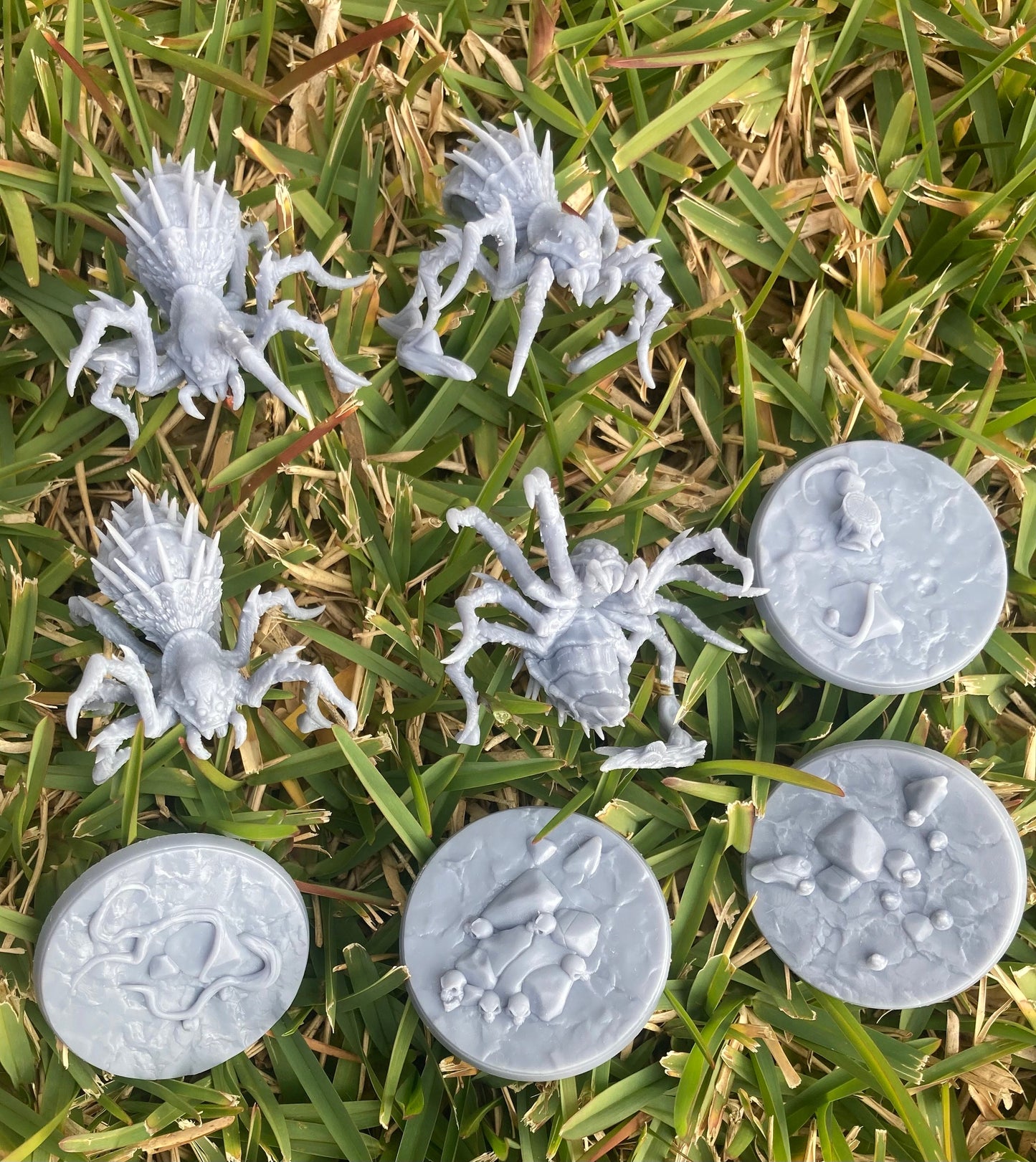 Faldorn Spiders (4 Variants Available) - Artisan Guild