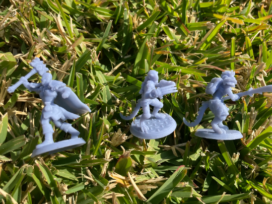 Print Your Miniature