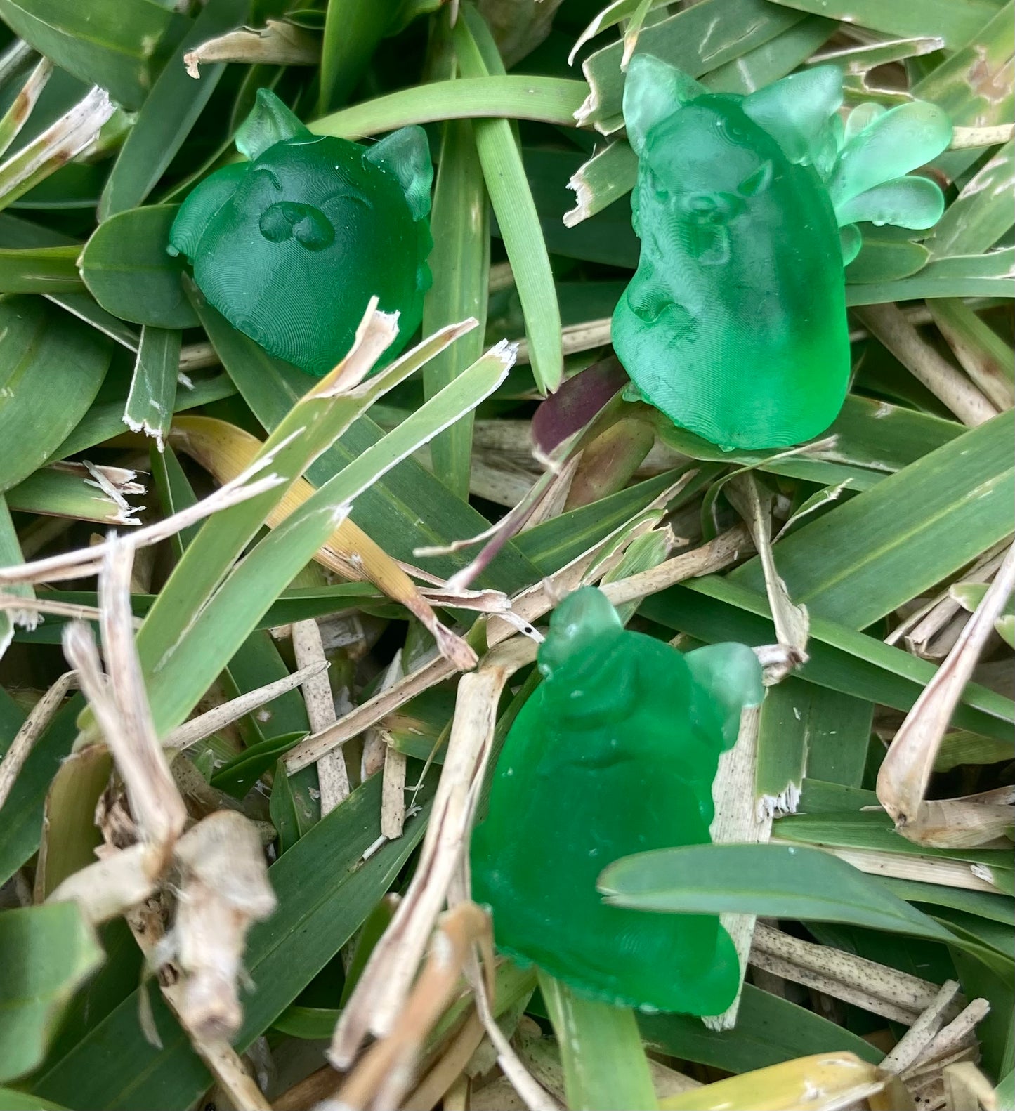 Ooze Cats (3 Variants Available) - Kawna Minis