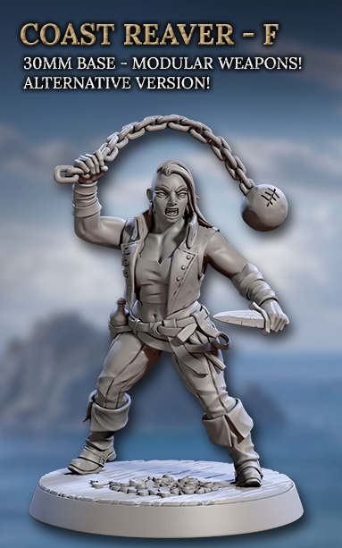 Coast Reavers, Human Pirates - Set 2 (6 Variants Available) - Artisan Guild