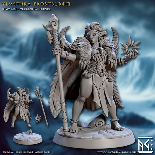 Ylvethra Frostbloom, Winter Elf Sorcerer - Artisan Guild