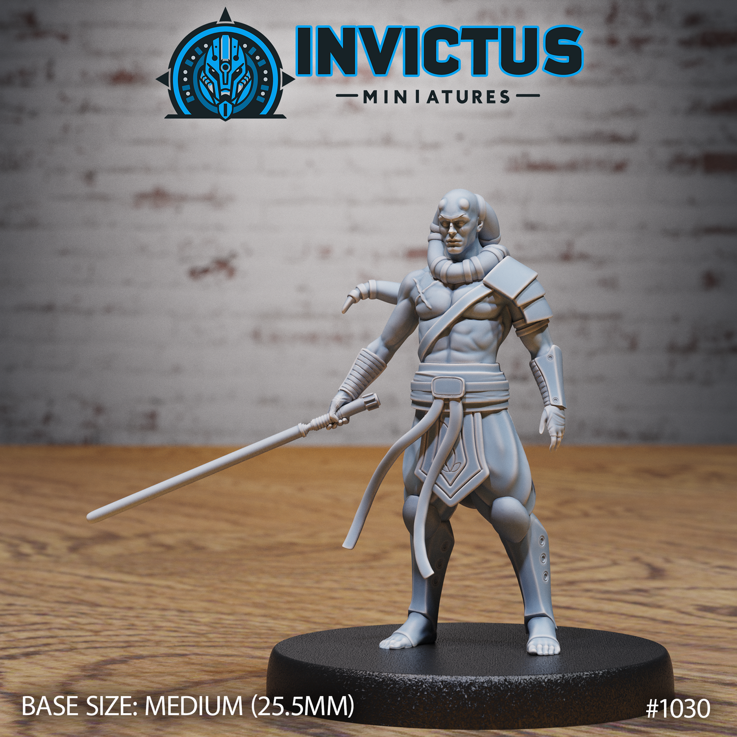 Starward Heroes, Set 1 (5 Variants Available) - Invictus Miniatures