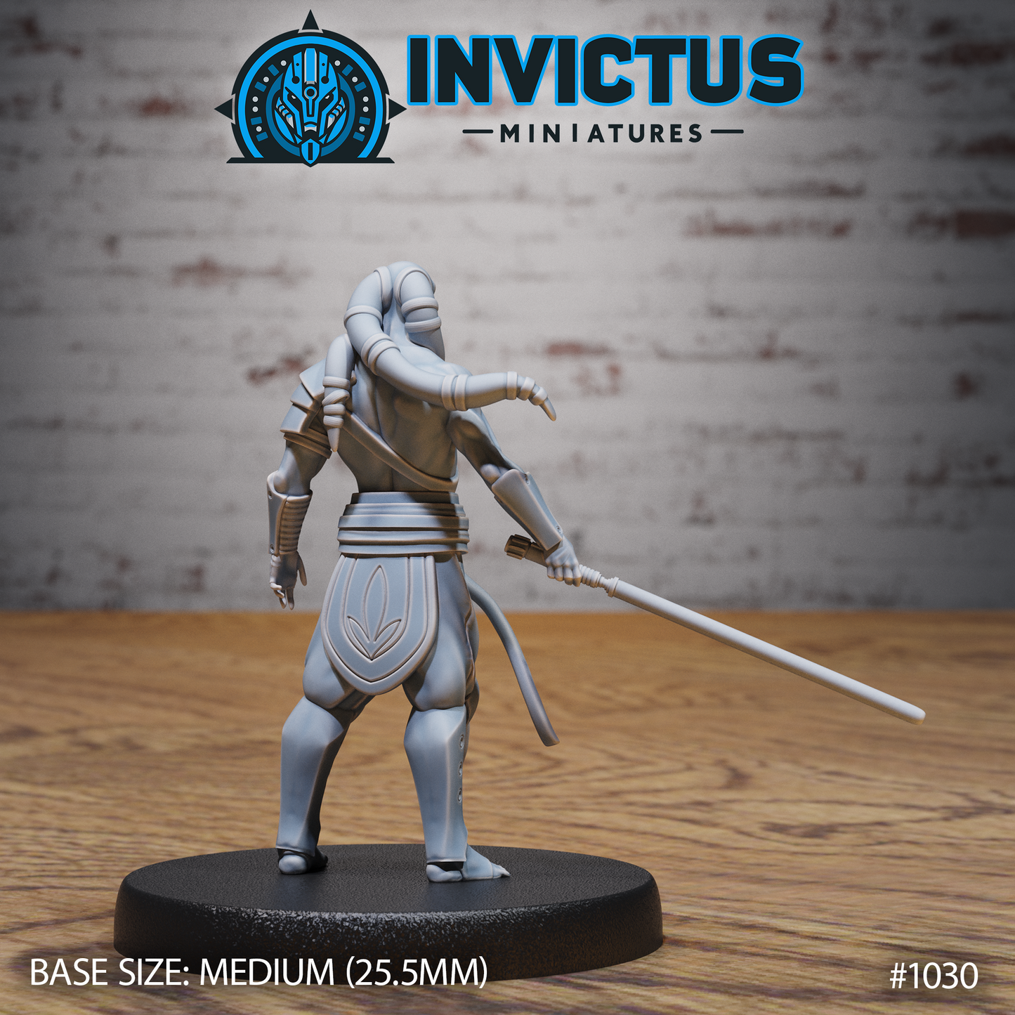 Starward Heroes, Set 1 (5 Variants Available) - Invictus Miniatures