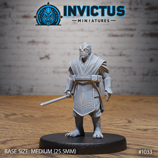 Starward Heroes, Set 2 (4 Variants Available) - Invictus Miniatures