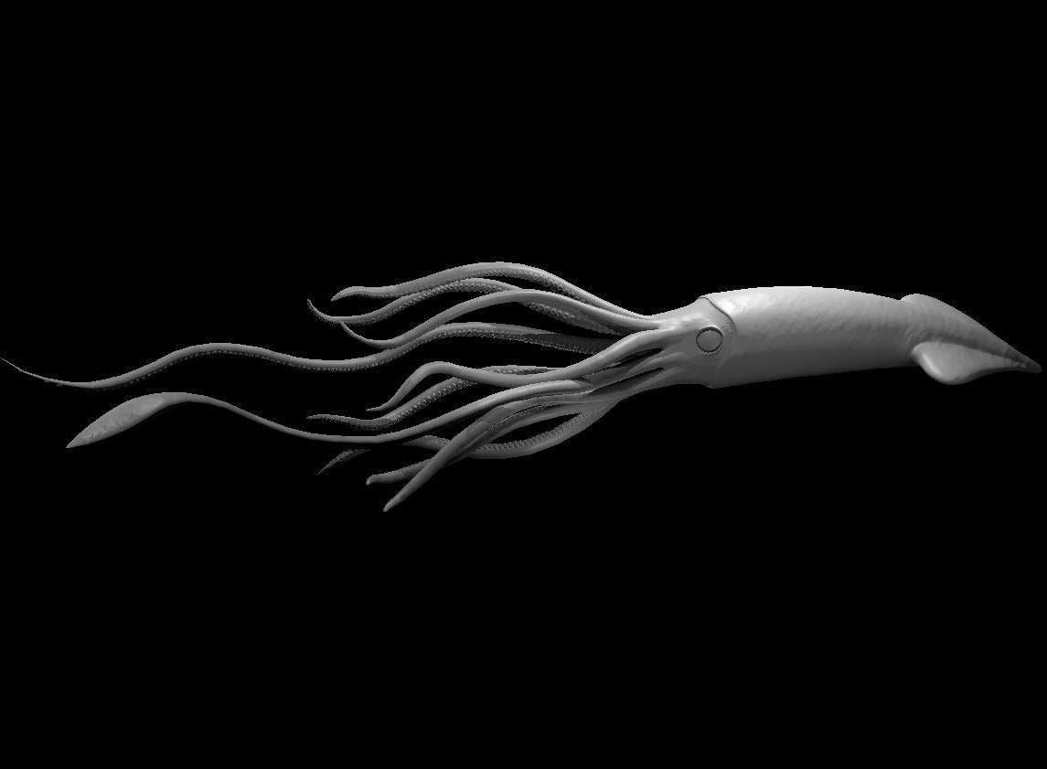 Giant Squid (2 Variants Available) - MZ4250