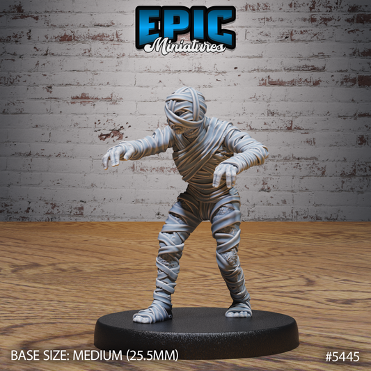 Mummy Amy Set 1 (4 Variants Available) - Epic Miniatures