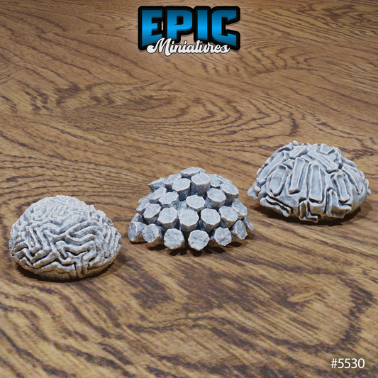 Underwater Scatter, Corals (8 Variants Available) - Epic Miniatures