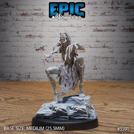 Spider Hag (3 Variants Available) - Epic Miniatures