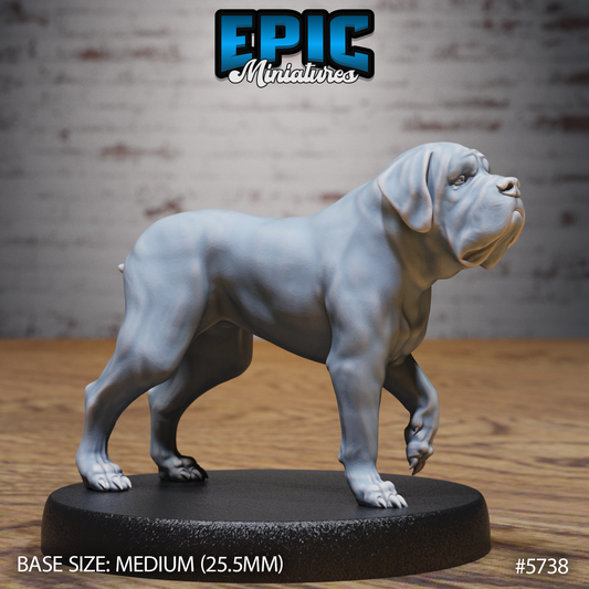 Mastiff War Dog (3 Variants Available) - Epic Miniatures