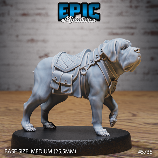 Mastiff War Dog - Mount (3 Variants Available) - Epic Miniatures