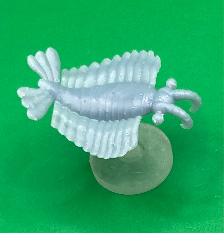 Anomalocaris, Bizarre Prehistoric Creature - MZ4250