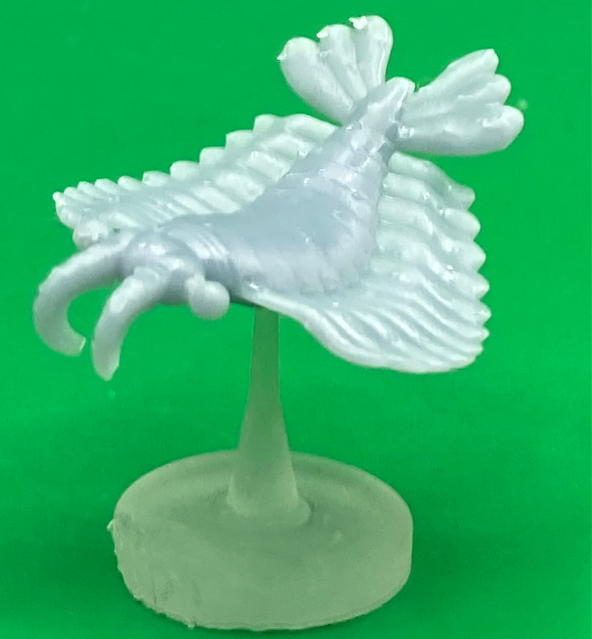 Anomalocaris, Bizarre Prehistoric Creature - MZ4250