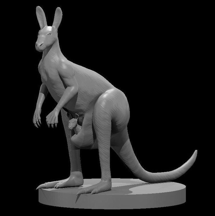 Kangaroo (4 Variants Available) - MZ4250