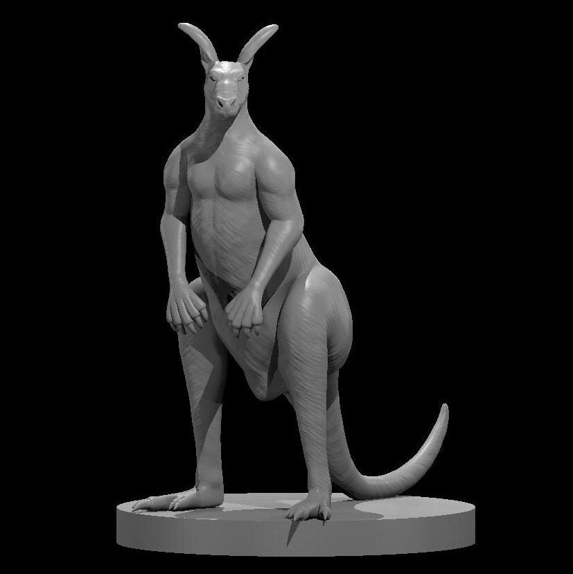 Kangaroo (4 Variants Available) - MZ4250