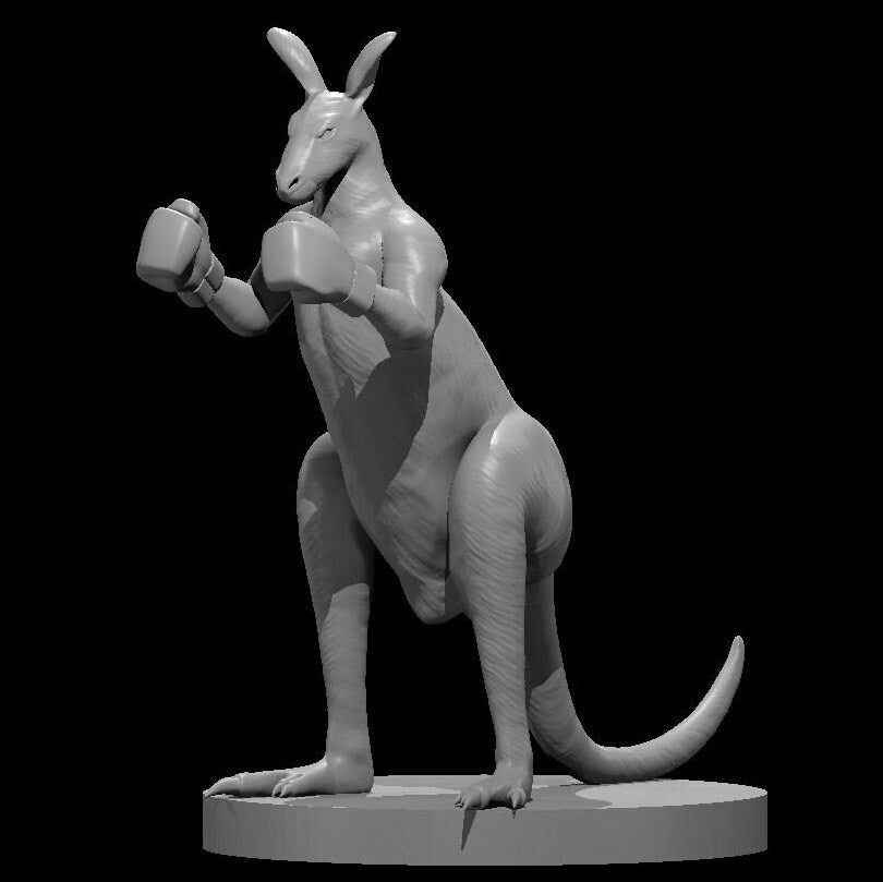 Kangaroo (4 Variants Available) - MZ4250