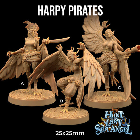 Harpy Pirates (3 Variants Available) - Dragon Trapper's Lodge