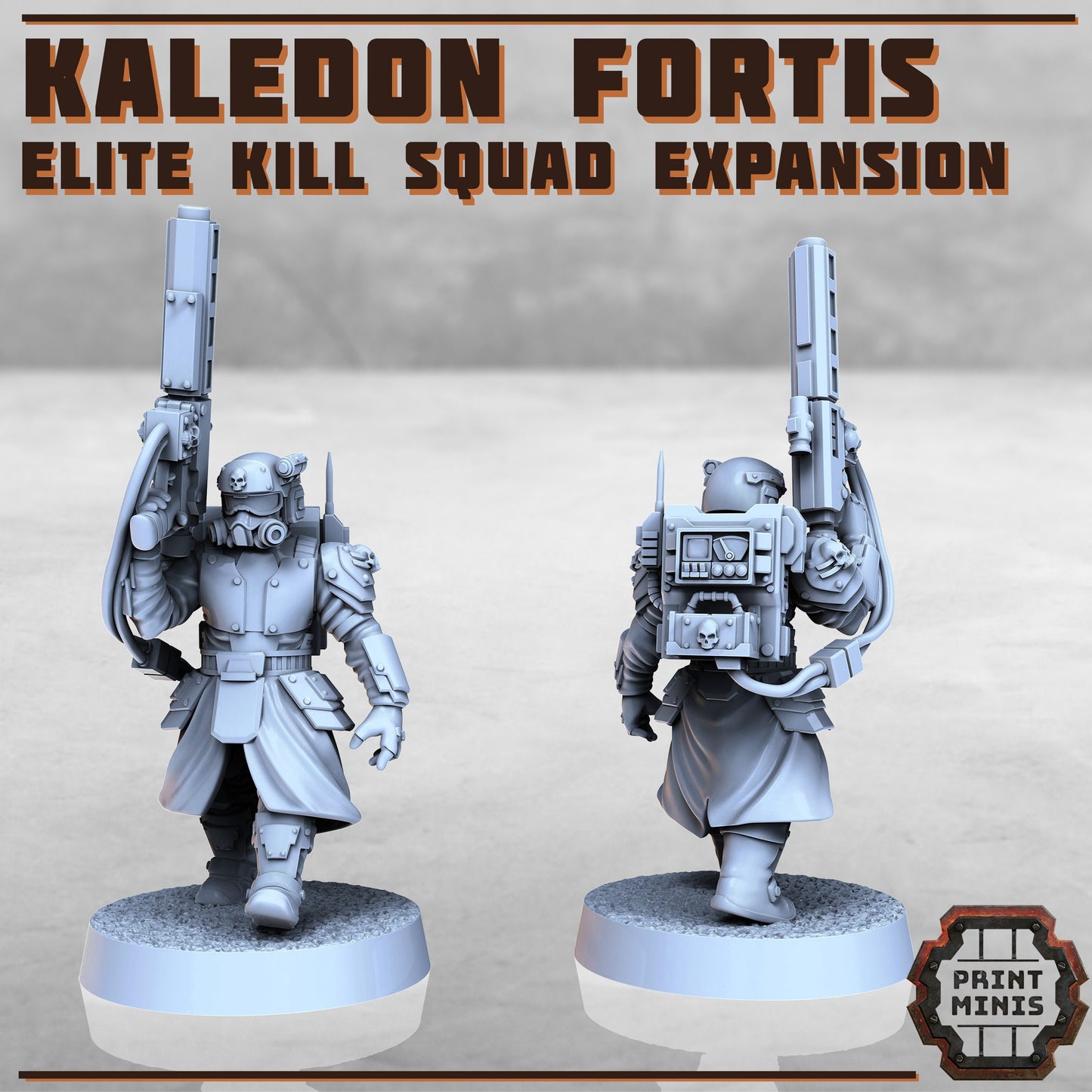 Kaledon Fortis Elites, Squad 3 (5 Variants Available) - Print Minis