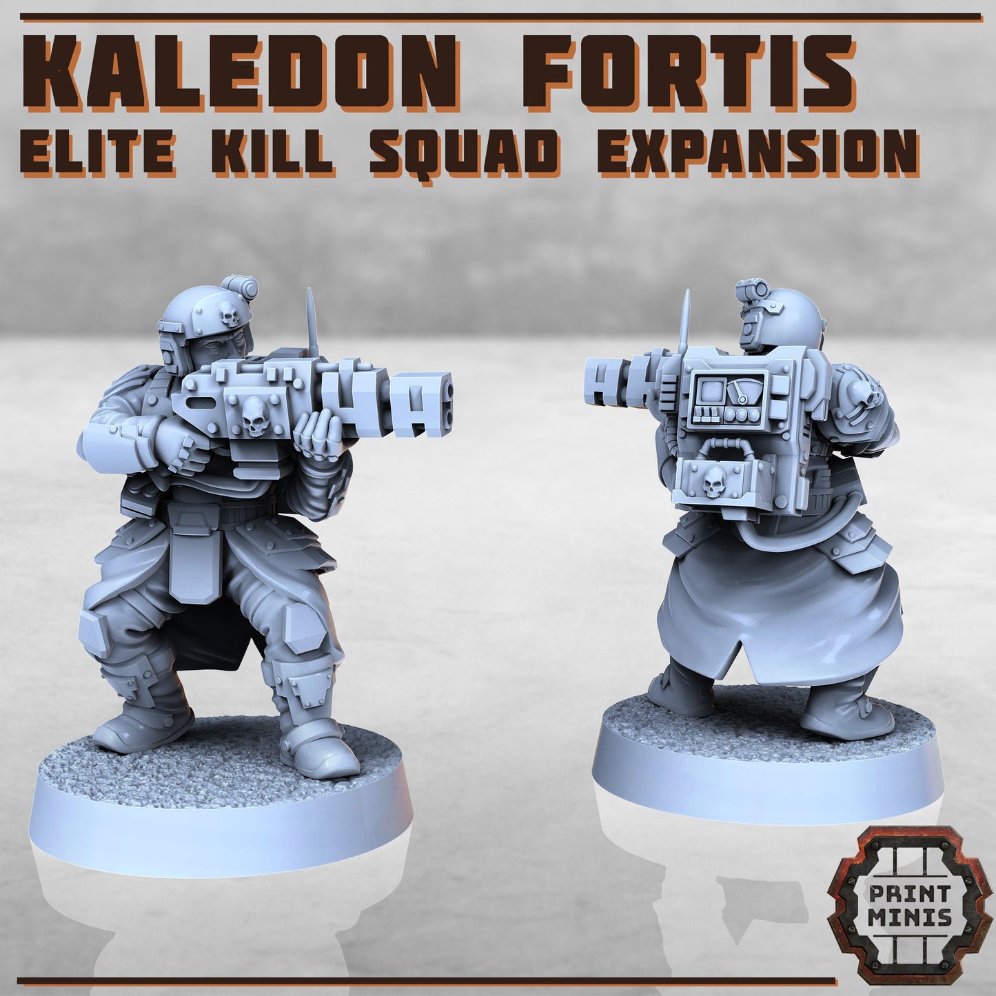 Kaledon Fortis Elites, Squad 3 (5 Variants Available) - Print Minis