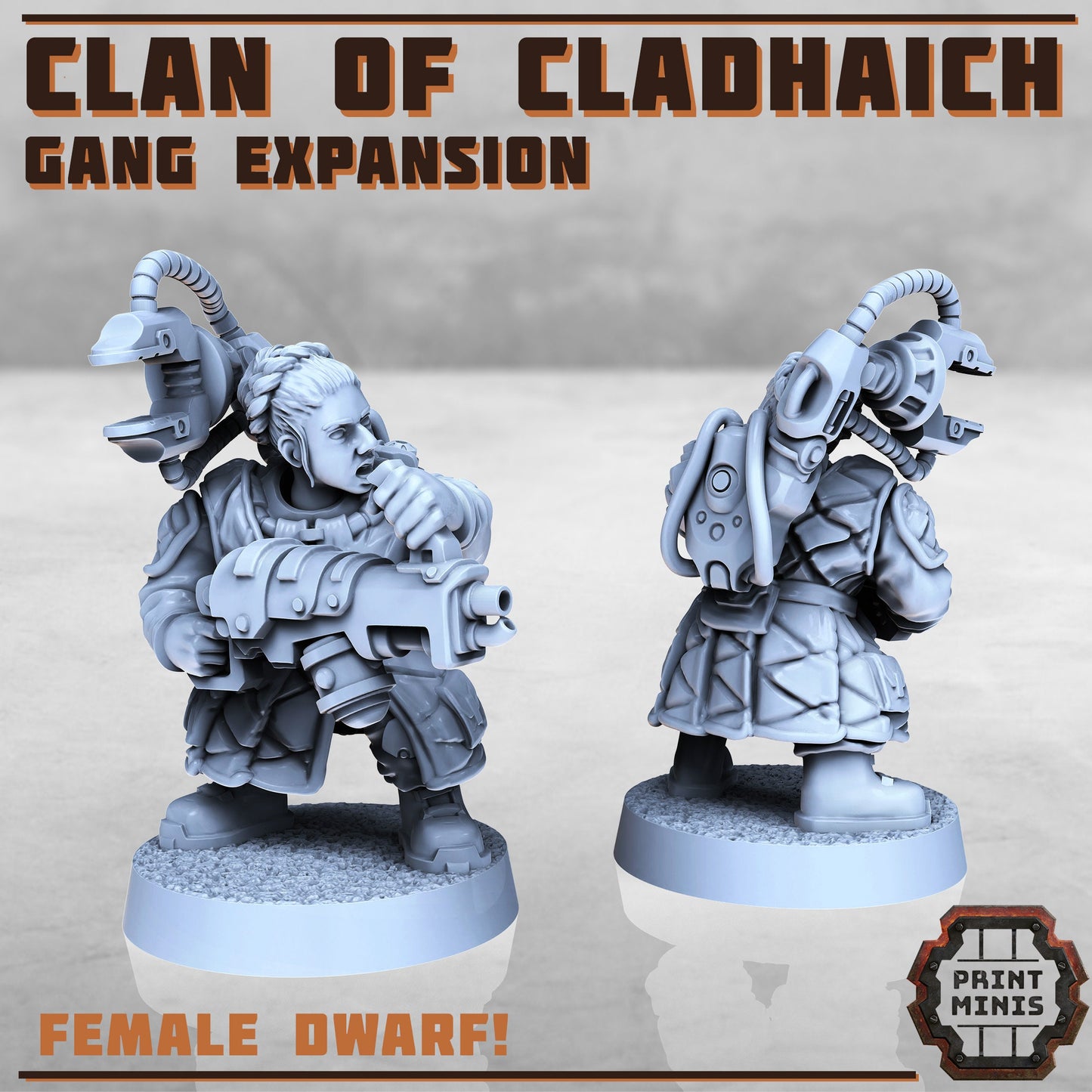 Clan of Cladhaich Expansion, Dwarves (7 Variants Available) - Print Minis