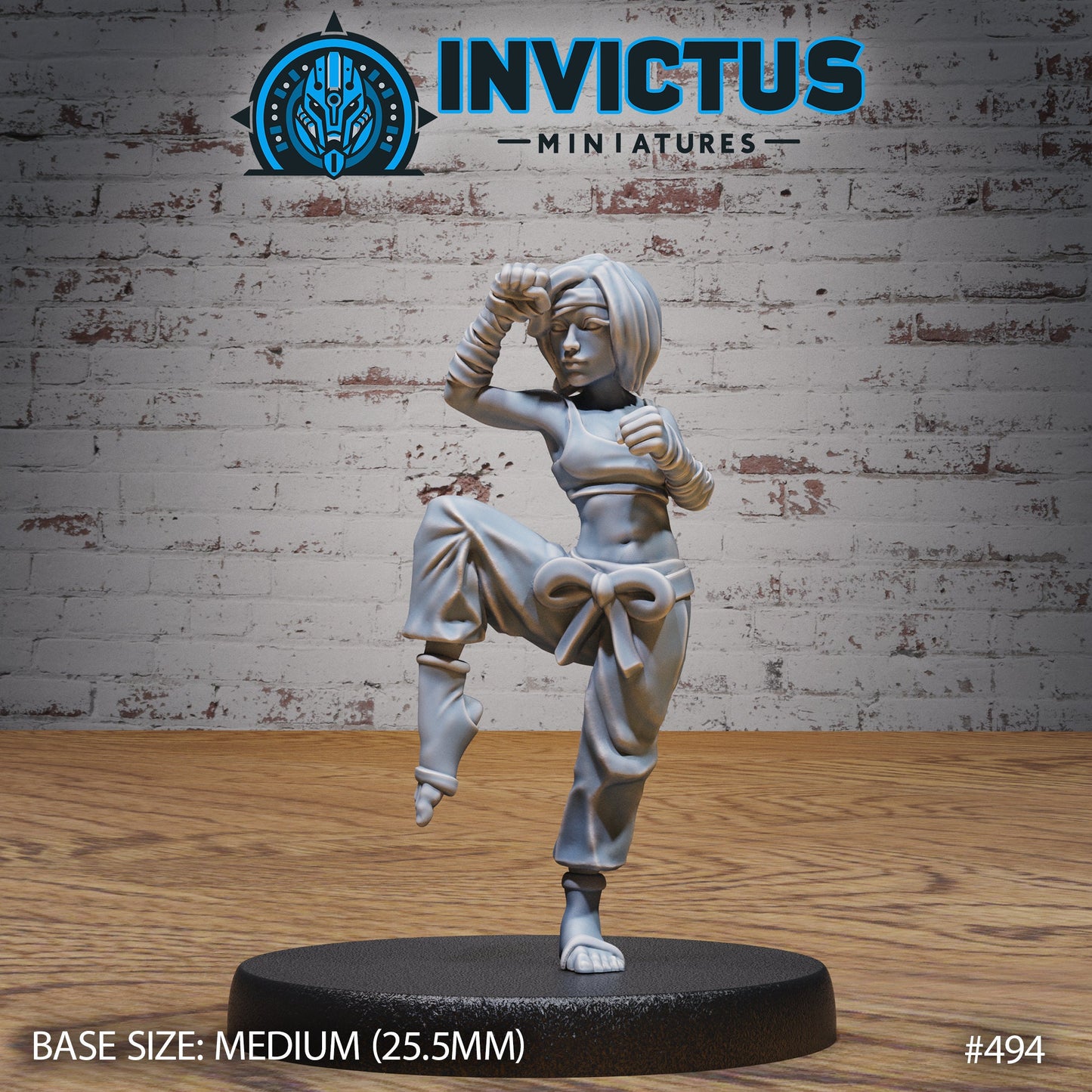 Karate Fighters (2 Variants Available) - Invictus Miniatures