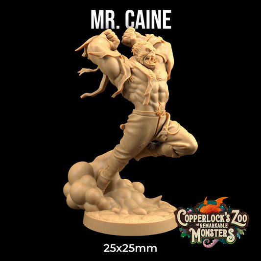 Mr Caine - Dragon Trapper's Lodge