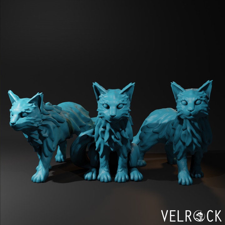 Maine Coon Cats (3 Variants Available) - Velrock