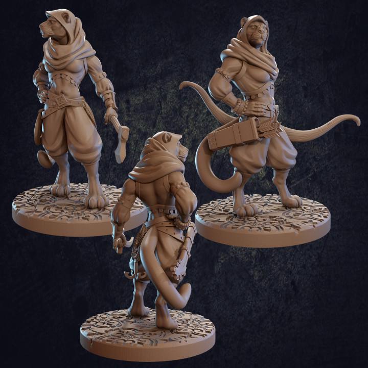 Taja, Tabaxi Ranger (3 Variants Available) - Dragon Trapper's Lodge