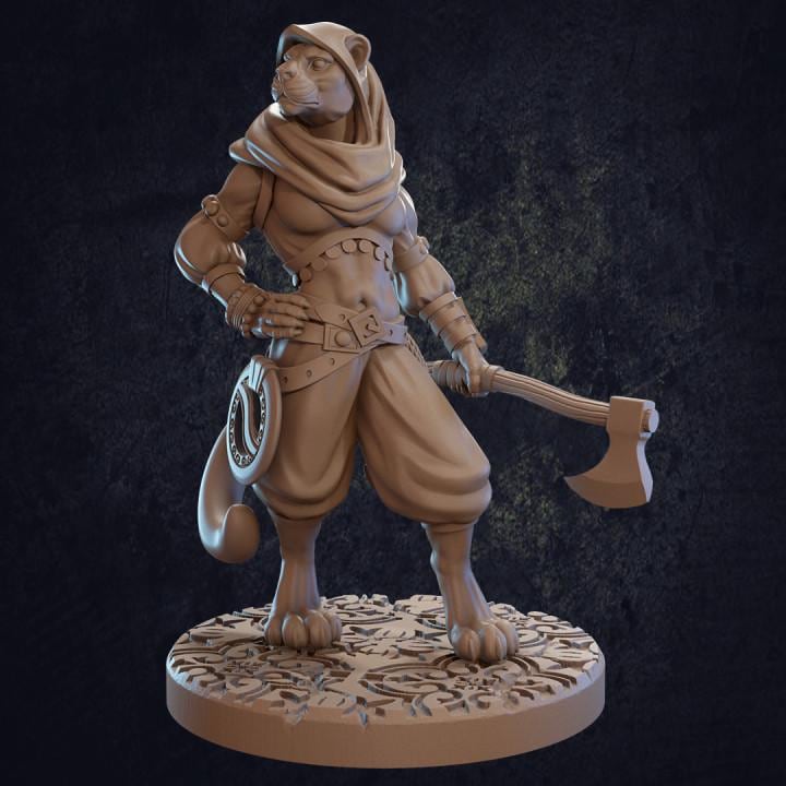 Taja, Tabaxi Ranger (3 Variants Available) - Dragon Trapper's Lodge