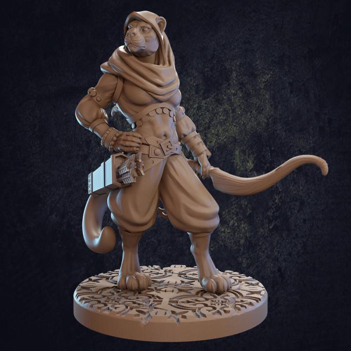 Taja, Tabaxi Ranger (3 Variants Available) - Dragon Trapper's Lodge