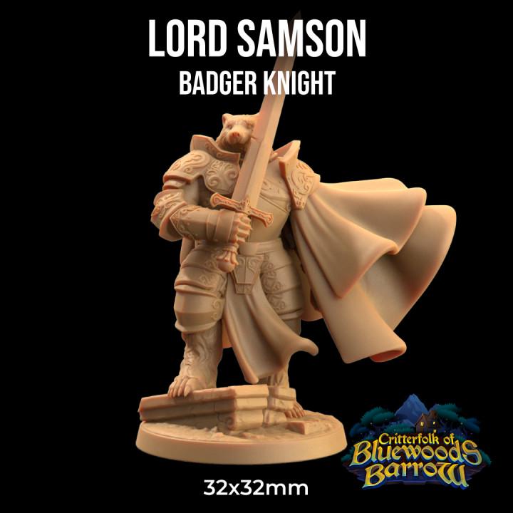 Lord Samson, Badger Knight - Dragon Trapper's Lodge