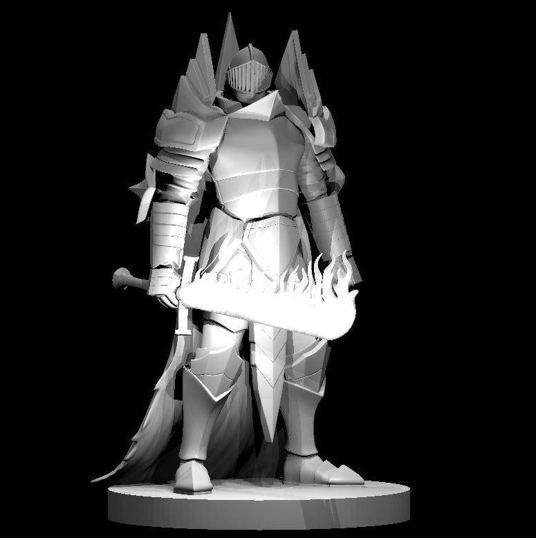 Human Paladins, Set 2 (5 Variants Available) - MZ4250