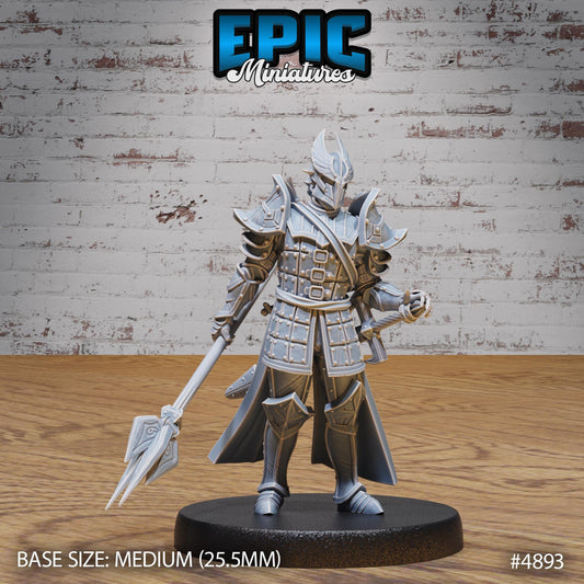 Platinum Paladin (3 Variants Available) - Epic Miniatures