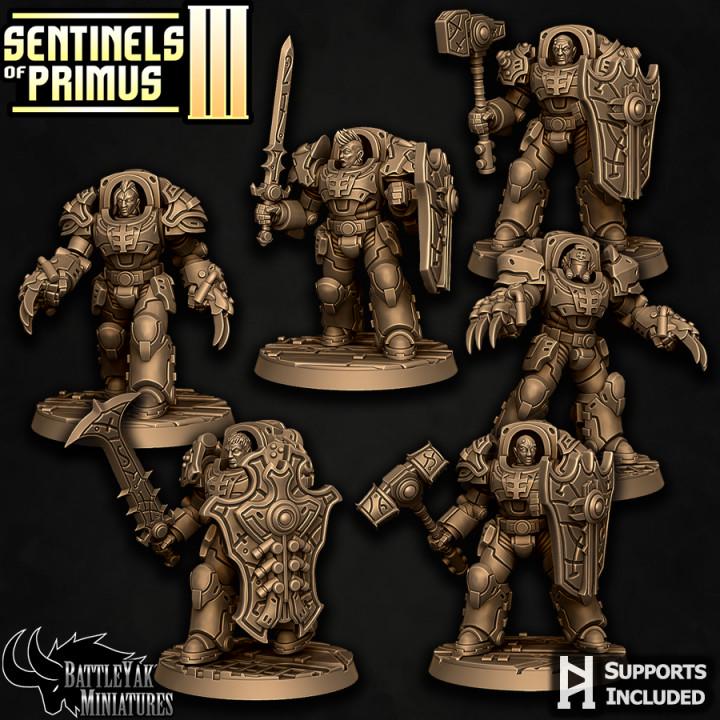 Sentinel Paladins of Primus, Melee (6 Variants Available) - Battle Yak