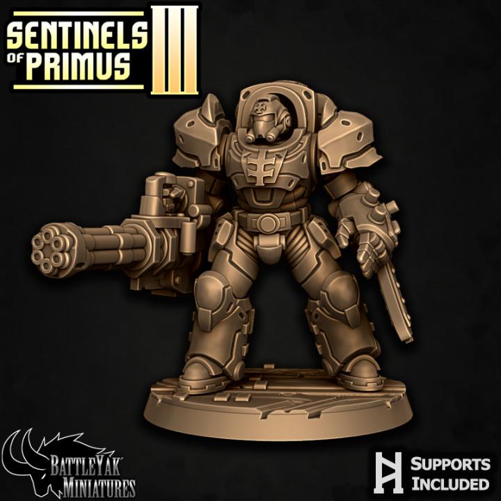 Sentinel Paladins of Primus, Ranged (6 Variants Available) - Battle Yak