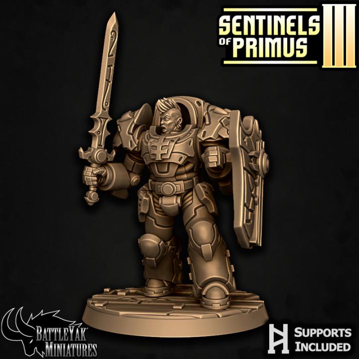 Sentinel Paladins of Primus, Melee (6 Variants Available) - Battle Yak