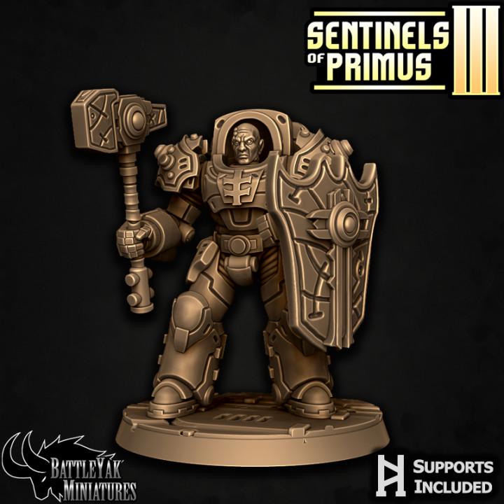 Sentinel Paladins of Primus, Melee (6 Variants Available) - Battle Yak