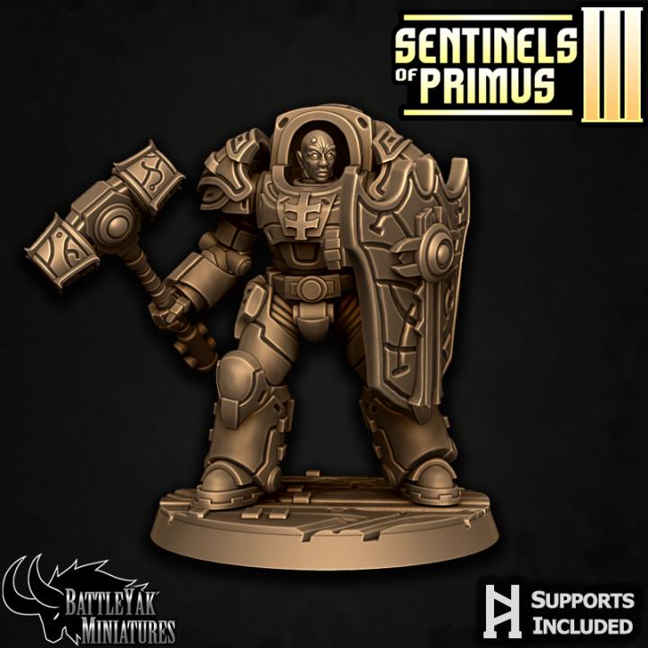 Sentinel Paladins of Primus, Melee (6 Variants Available) - Battle Yak