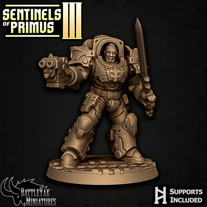 Sentinel Paladins of Primus, Ranged (6 Variants Available) - Battle Yak