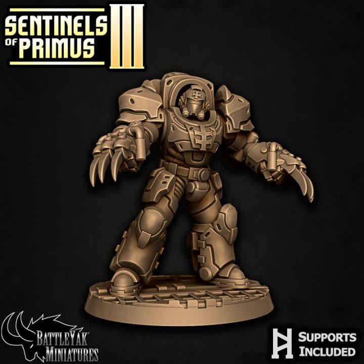 Sentinel Paladins of Primus, Melee (6 Variants Available) - Battle Yak